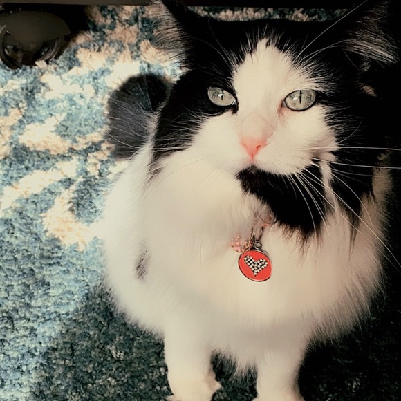 Meet your Posher, Kim - Picture 6 of 16